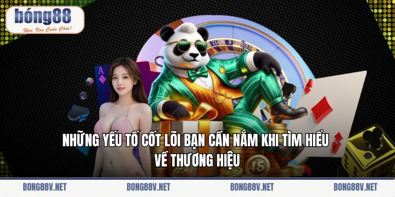 Những yếu tố cốt lõi bạn cần nắm khi tìm hiểu về thương hiệu