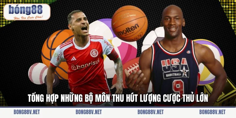 Tổng hợp những bộ môn thu hút lượng cược thủ lớn